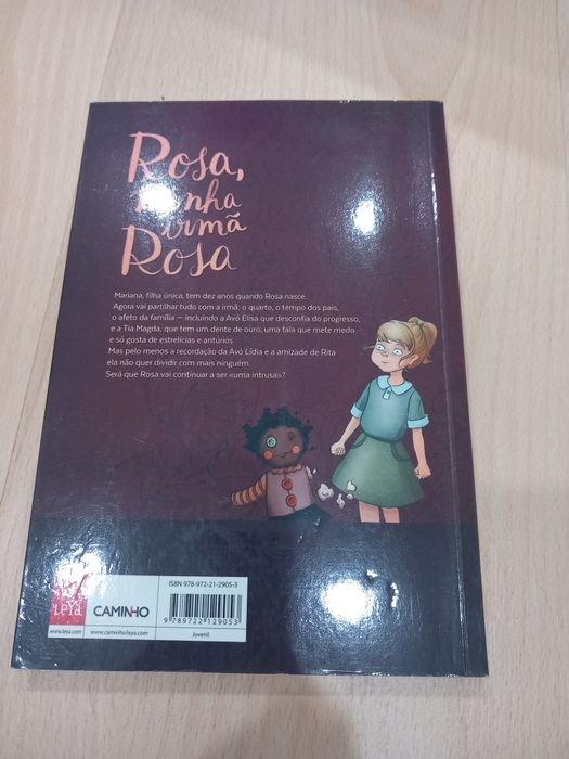 Livro "Rosa, minha irmã Rosa"