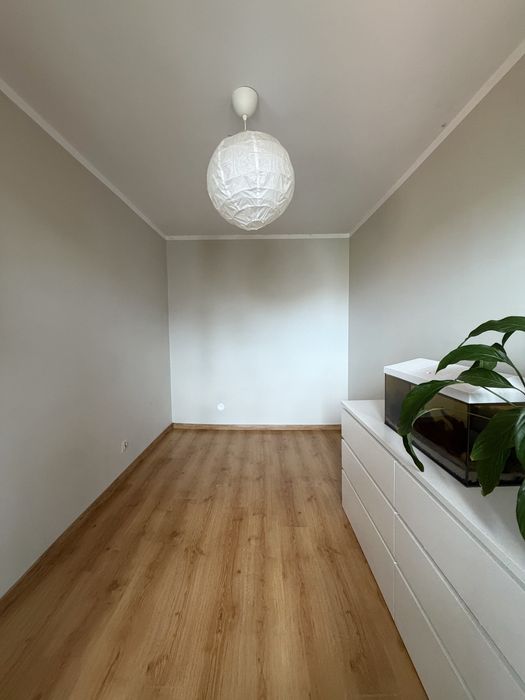 Dwupokojowe mieszkanie w centrum