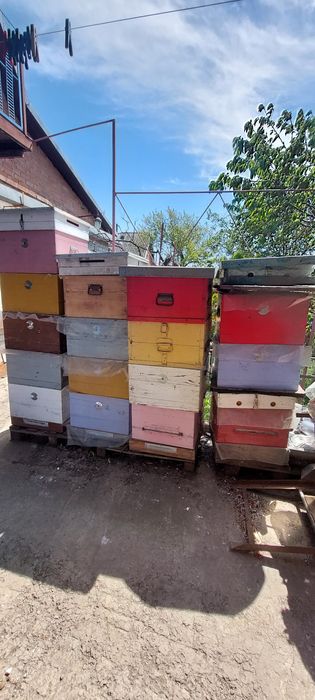 Вулики і підстави під них