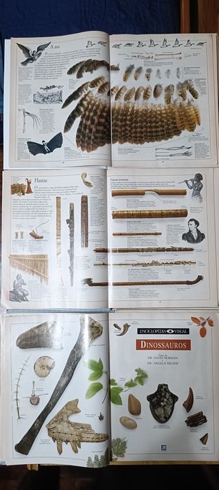 Enciclopédia visual em fascículos