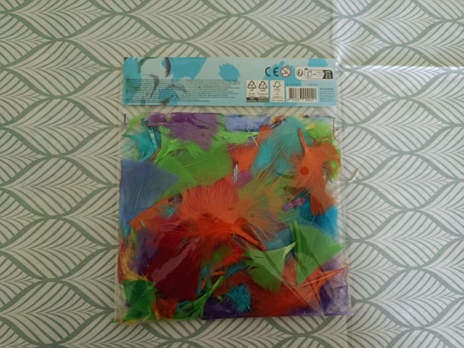 Pióra rzemieślnicze