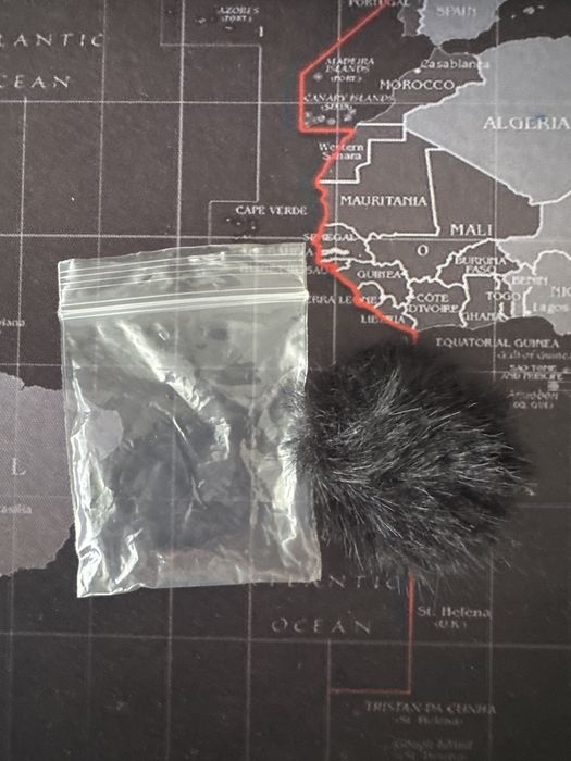 Microfone da hollyland