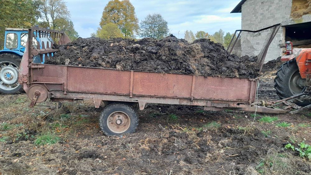 Sprzedam obornik koński