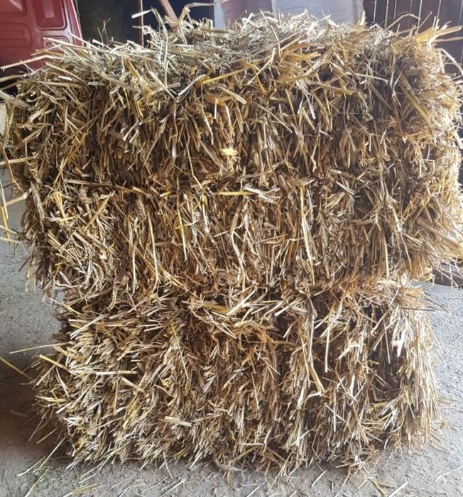 Sprzedam siano, slome w kostkach, belach Transport Siedlce • OLX.pl