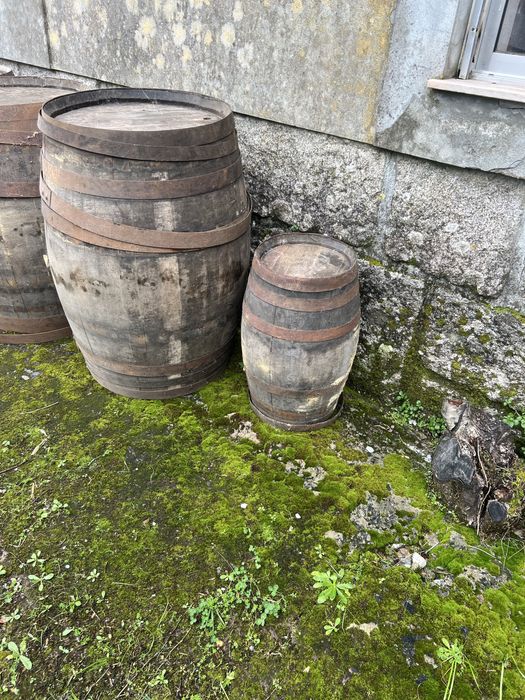 Pipas de Vinho Velhas