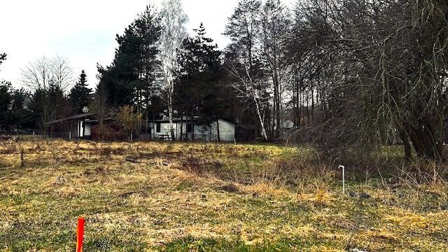 Działkę nad jeziorem, blisko Powidza, starodrzew, woda i prąd na działce