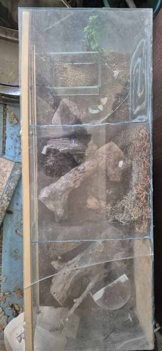 Terrarium dla pająków