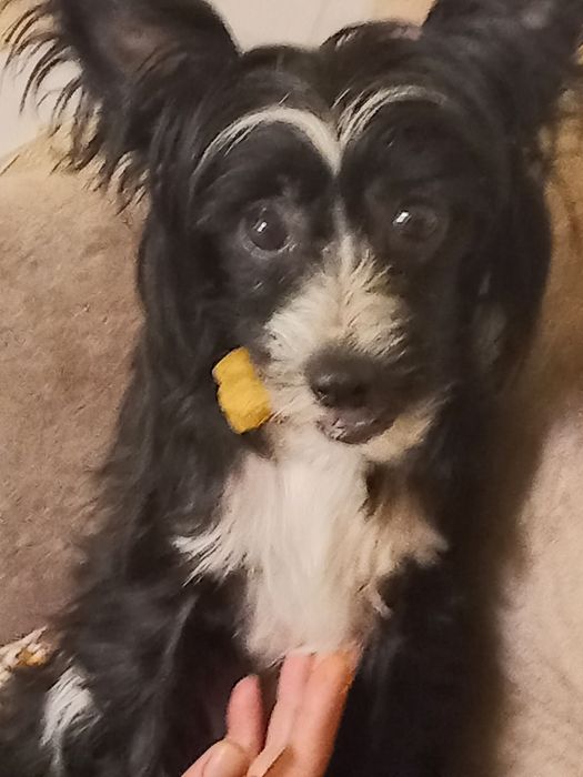 Шукаємо наречену