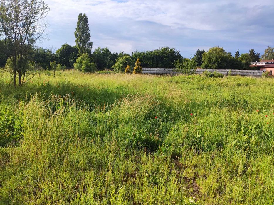 Smolec 3 działki 1027-1052 m², sprzedam, ul. Główna - Widok 4