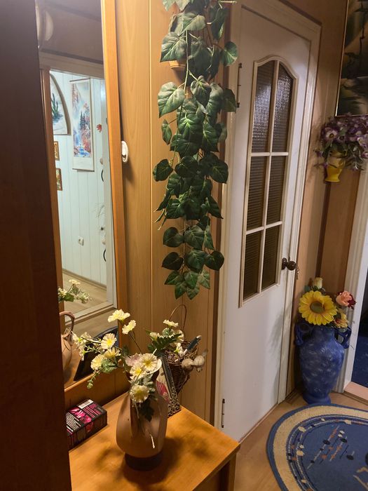 Квартира Шпола Соборна 36а