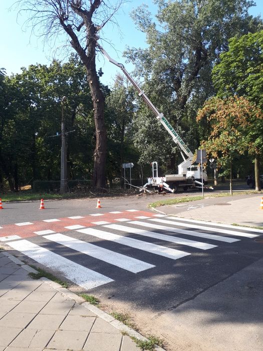 Wycinka drzew oraz przycinanie   z podnośnika  zwyżka Toruń wynajem