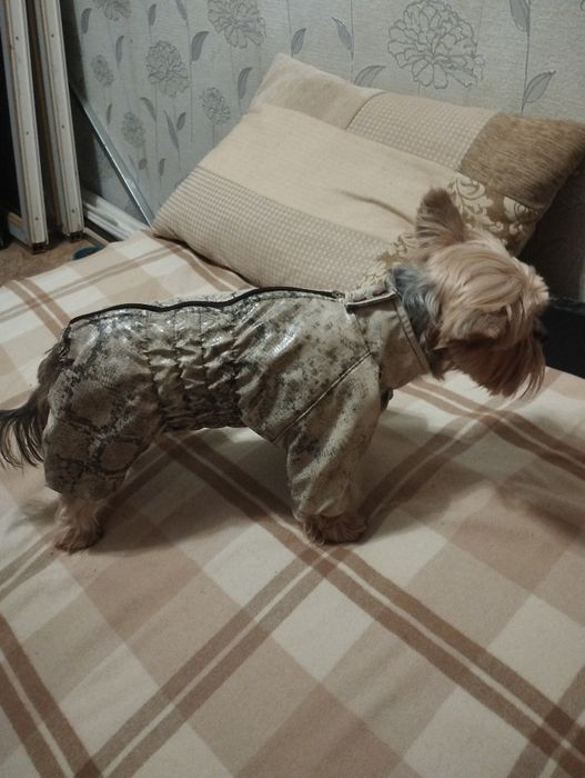 Продам одежду для мелких пород собак