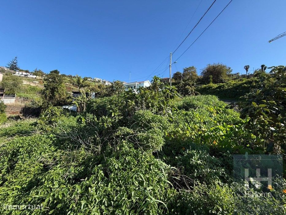 Terreno com 2050 m2 no Jardim Botânico - Vista Mar e Porto do Funchal