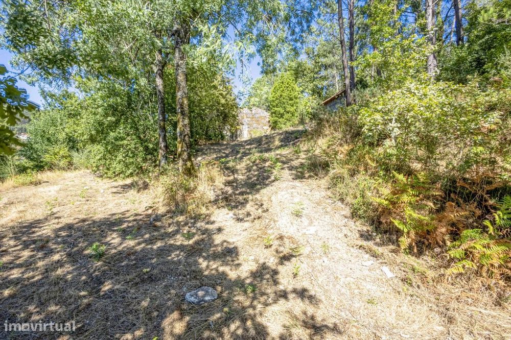 Quinta com 2 Hectares e Casa em Pedra para Recuperar em Gomide, Vila V