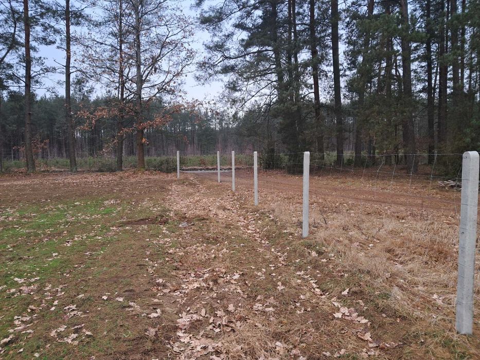 Ogrodzenie z siatki leśnej płot płoty tymczasowe słupki słupek