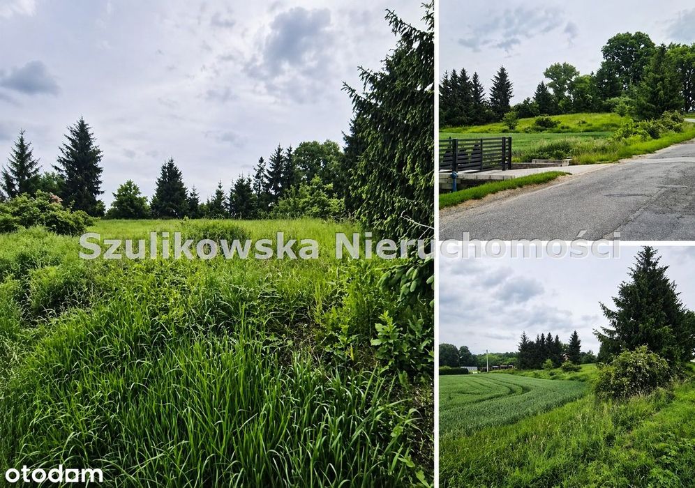 Działka na sprzedaż, Kamieniec Ząbkowicki