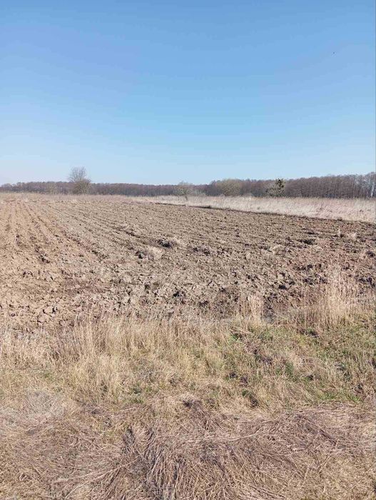(5) Продам земельну ділянку в Стижавці 8916