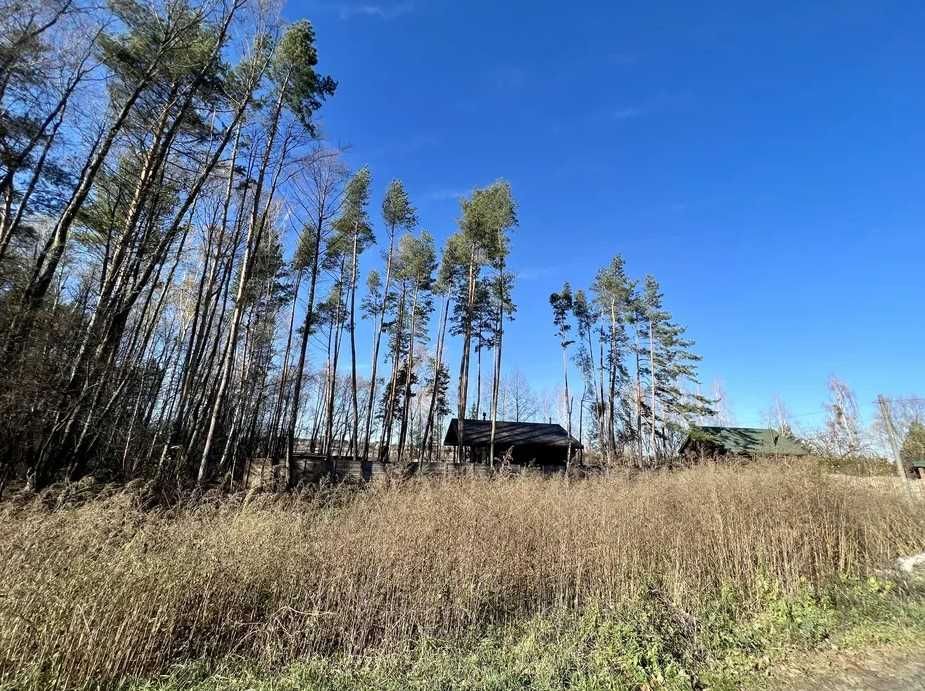 "Прокурорське містечко" с.Дмитрівка на ділянці сосни!