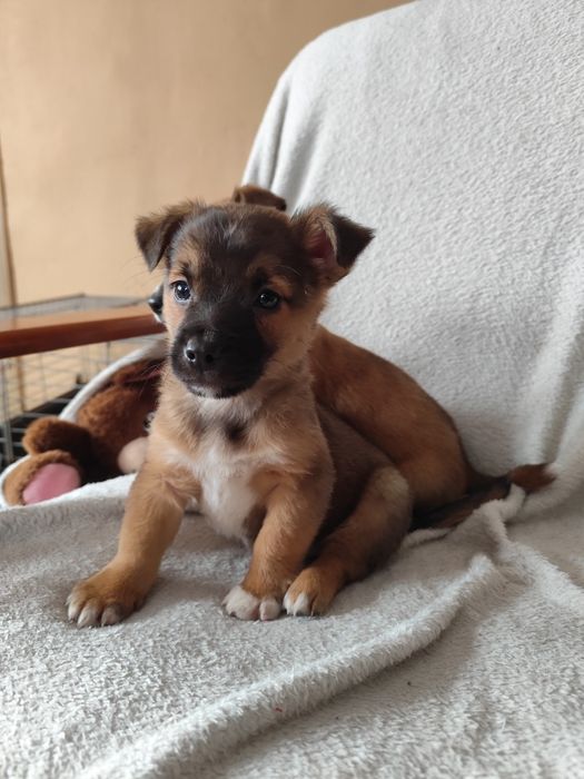 Tylko do właściwego domu