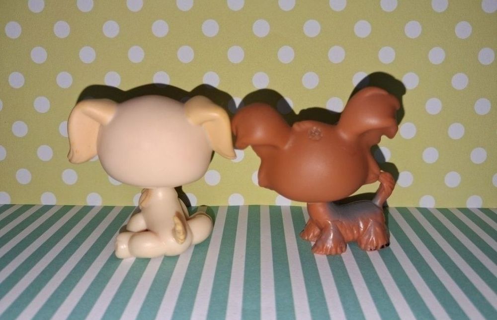 Littlest Pet Shop LPS zestaw Psów Stan Gorszy
