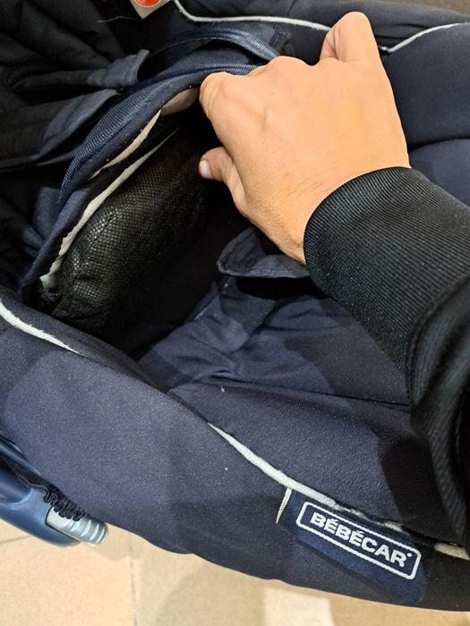 Ovinho bebé recém-nascido