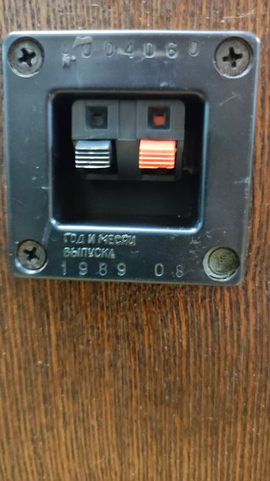 Колонка! Одна!  Радиотехника s 90 d