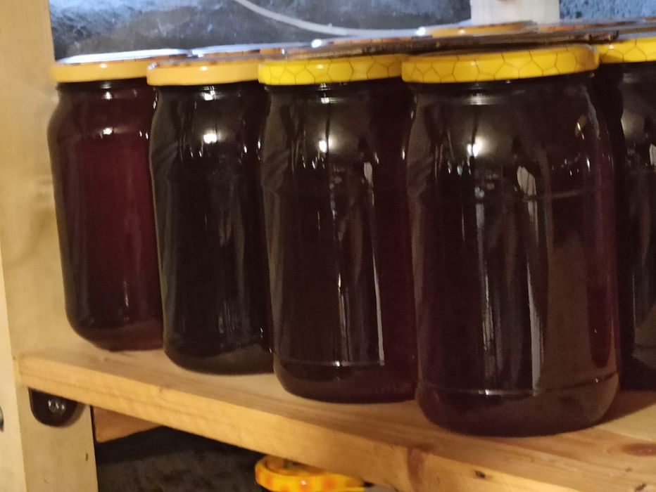 Miód spadziowy i kwiatowy