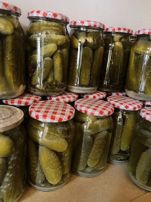 Ogorki kiszone tradycyjnie