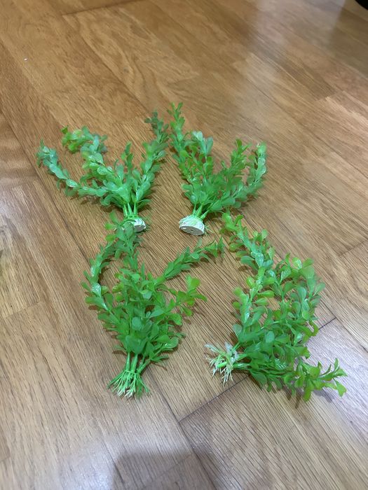 Plantas de plástico para aquário