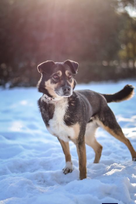 Adoptuj wrażliwego Kacperka