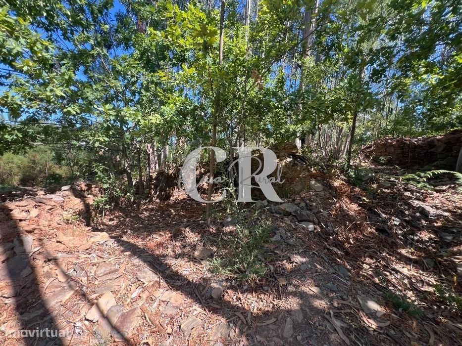 Casa de Pedra Renovada, Ruínas, Riacho, Poços e 15.570m2 de Terreno na