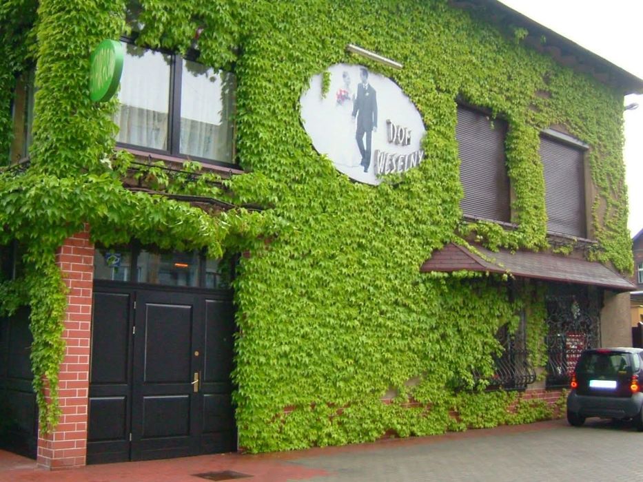 Dom mieszkanie restauracja firma