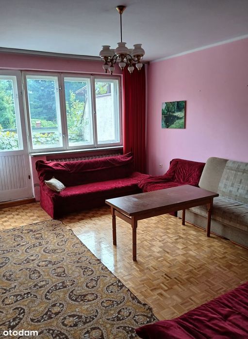 Zdjęcie 5