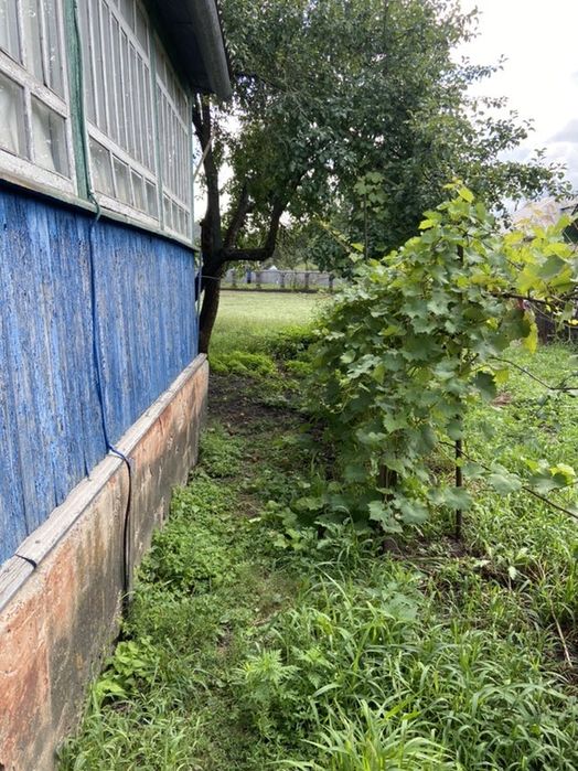 Продажа земельноі ділянки в м. Бахмач - Вид 2