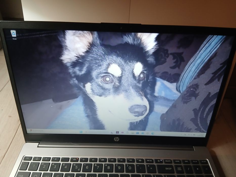 Laptop HP 250 G10 | Intel N100 / 8GB / SSD 500GB | Stan jak nowy
