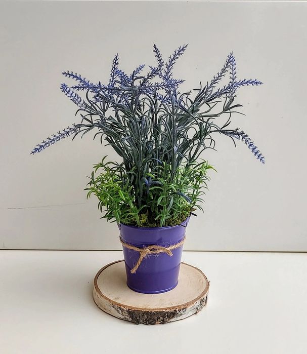 Lawenda w metalowym wiaderku