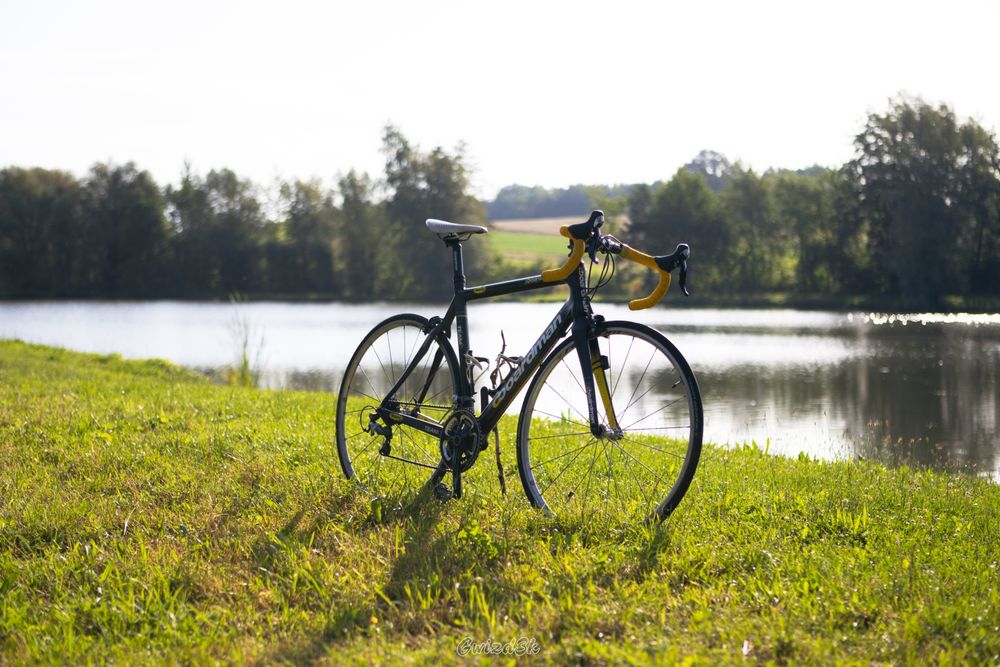 Rower Boardman Team C