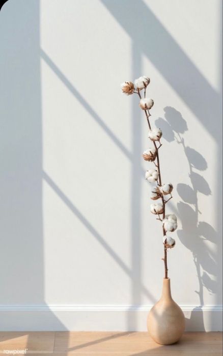 Насіння бавовни хлопку