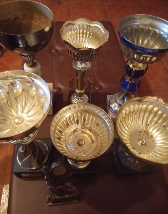Troféus e medalhas diversas