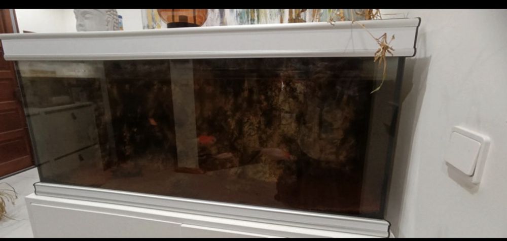 Aquário 170L + Móvel lacado Branco/Negociável