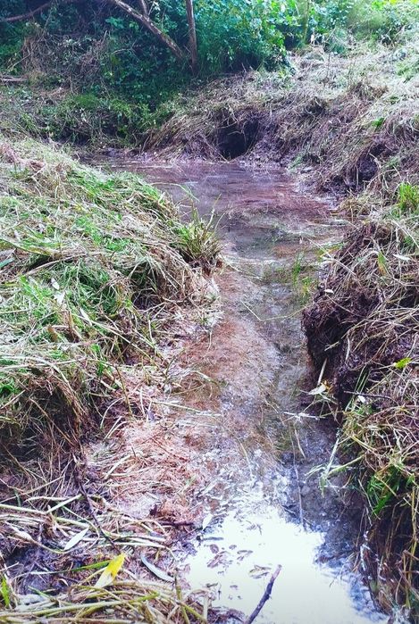 Sprzedam działkę budowlaną 23 ary, ze źródłem wody pitnej