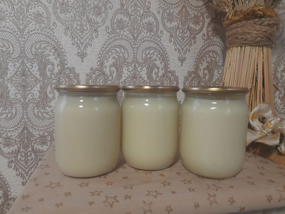 Продам борсуковий жир