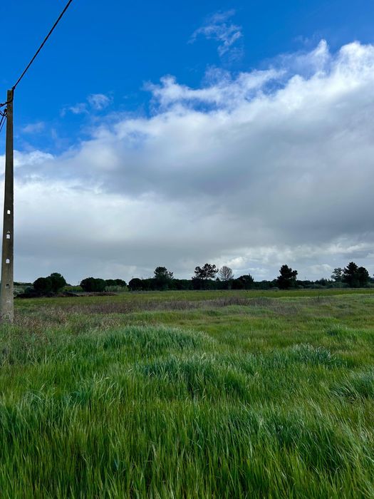 Terreno Rústico 11.040m² em Almeirim | Excelente Oportunidade
