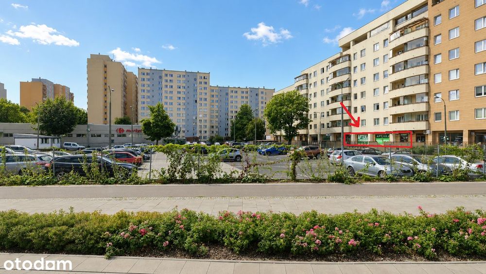 Zdjęcie 2