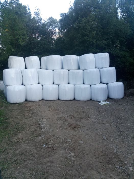 Sprzedam bele siano kiszonkę