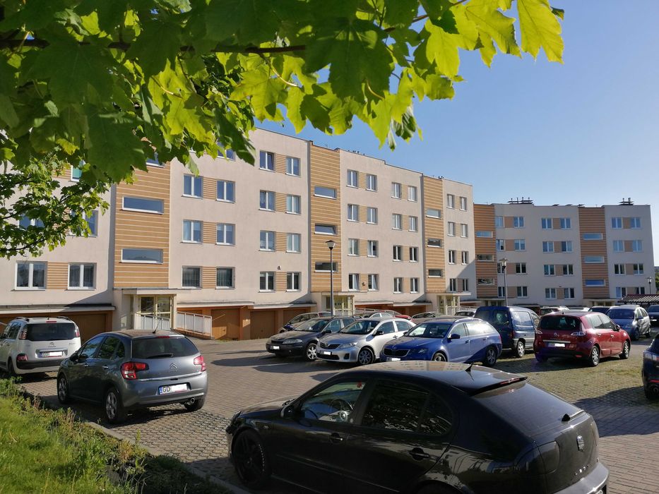 Zdjęcie 7