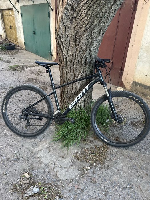 продам СРОЧНО (предлагайте цену)зверя Giant Talon 4 Metallic Black