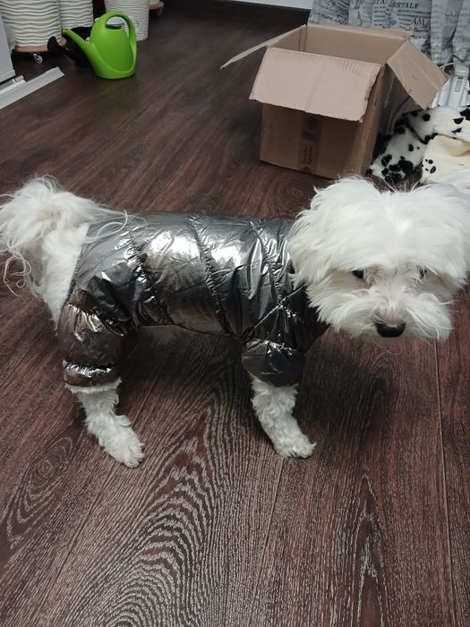 Зимовий (новий) комбез для маленької собачки, розмірS- L
