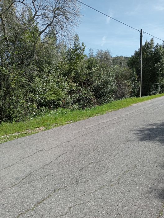 Vende-se terreno urbano e rústico casa ruína.