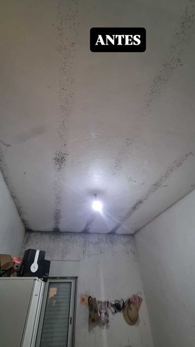 Remoção de Bolor e Humidade | Tratamento Profissional